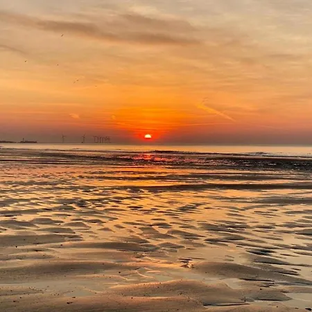 In With Sea Views 아파트