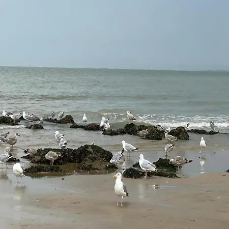 아파트 In With Sea Views *