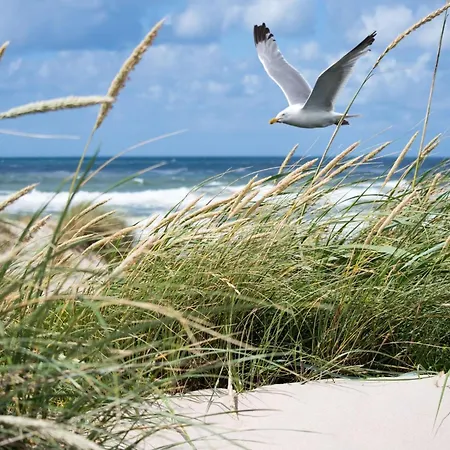 아파트 In With Sea Views *