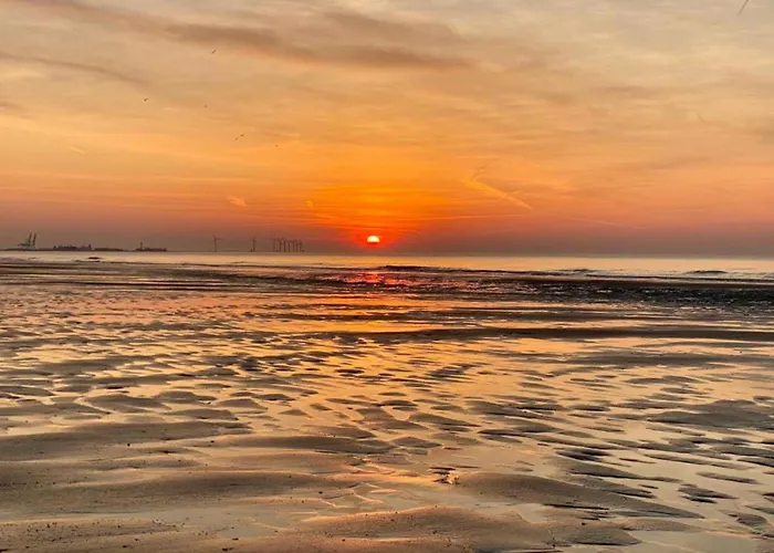 In With Sea Views شقة