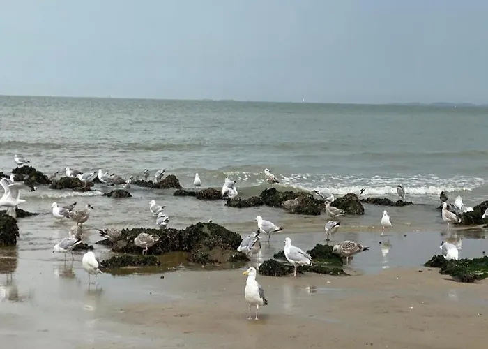 شقة In With Sea Views *