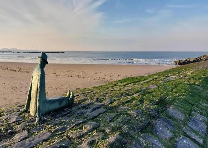 In With Sea Views * كنوك هايست