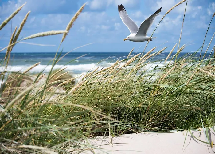 شقة In With Sea Views *